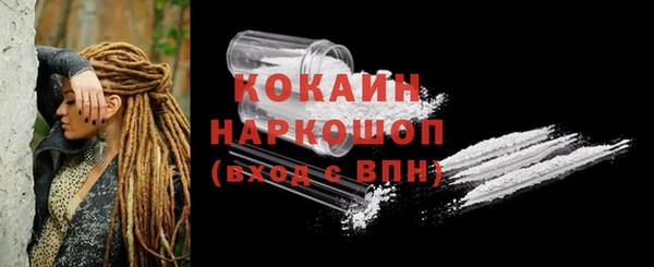 твердый Арсеньев
