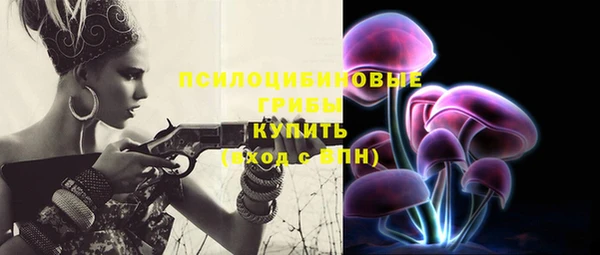 твердый Арсеньев