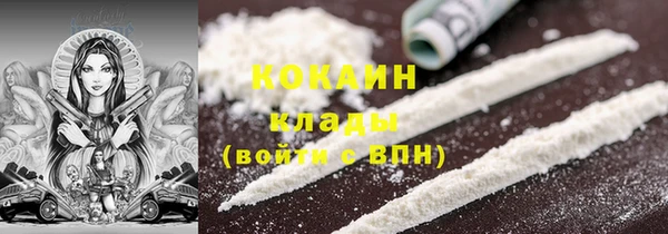 твердый Арсеньев