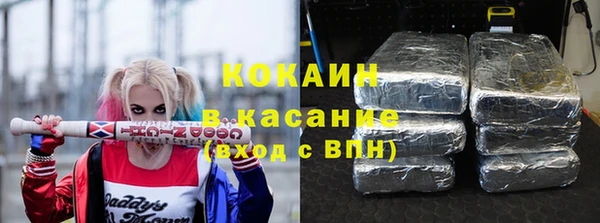 твердый Арсеньев