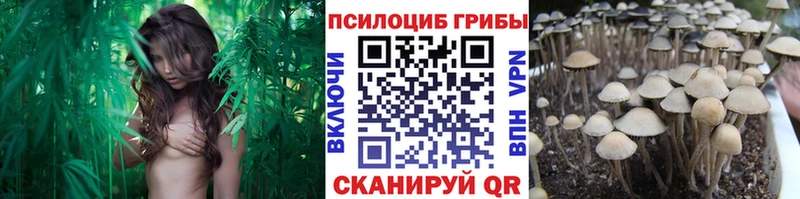 Галлюциногенные грибы Cubensis Яблоновский